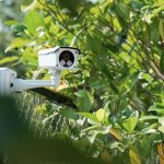 Überwachungskamera im Garten